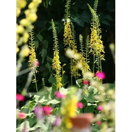 Apartman Lovely In Jachenau